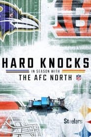 The AFC North