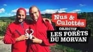 Morvan Forests