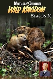 Season 20