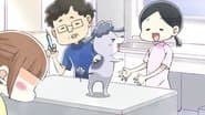 The Vet