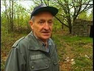 Серія 247