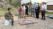 Серія 48