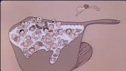 The Great American Melting Pot