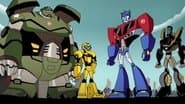 Transform and Roll Out! (2)