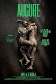 Augure