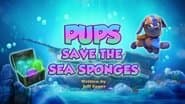 Pups Save the Sea Sponges
