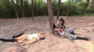 Серія 33