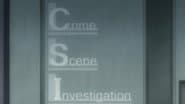 Серія 11
