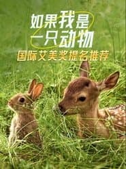 Спеціальне