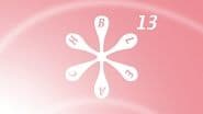 Серія 13