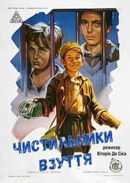 Чистильники взуття / Шуша