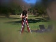 Photographs / Royal Flush
