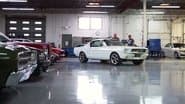 A Mustang's Twists and Turns