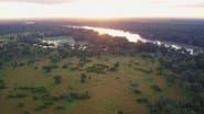 Swamps