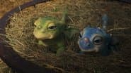 Dragon Babies