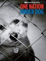 One Nation Under Dog:  Stories of Fear, Loss and Betrayal