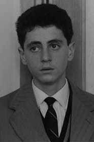 Domenico Cantoni