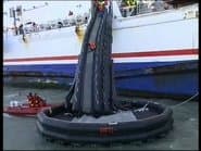 Серія 181