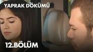 Episode 12