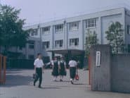 Серія 28