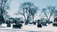 Серія 6