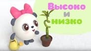 Серія 20