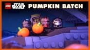 The Pumpkin Batch