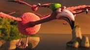 Flight of the Flamingos