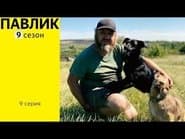 Серія 9