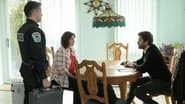 Серія 14
