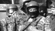 Серія 29