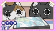 Night 71: Lend