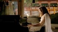The Shape of Sound: A Piano Paints the Seasons of Nara