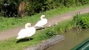 Grand Union and Stratford Canal