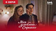 Серія 6