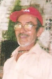 Violeiro