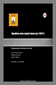 Aquilae non caput muscas