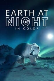 Earth at Night in Colour