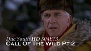 Call of the Wild (2)