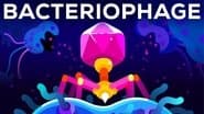 Серія 7