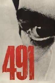 491