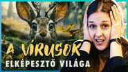 Az AGANCSOS nyulaktól a SZUPERVÍRUSOKIG