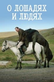 Коні та люди