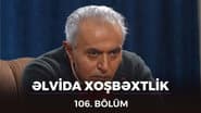 Серія 106