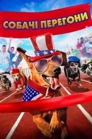 Собачі перегони