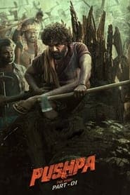 పుష్పా - The Rise