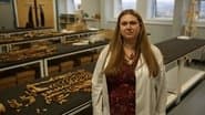 Полювання на палац короля Артура