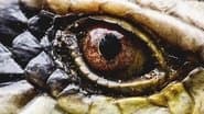 Enigma Animal of Colombia