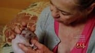 Серія 1