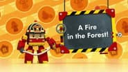 A Fire in the Forest!